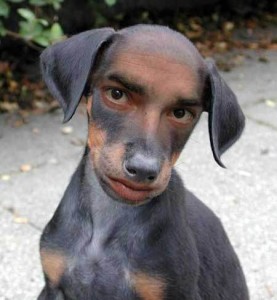 human-looking-dog